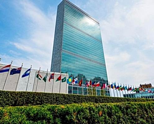 BİRLEŞMİŞ MİLLETLER BİREYSEL BAŞVURU